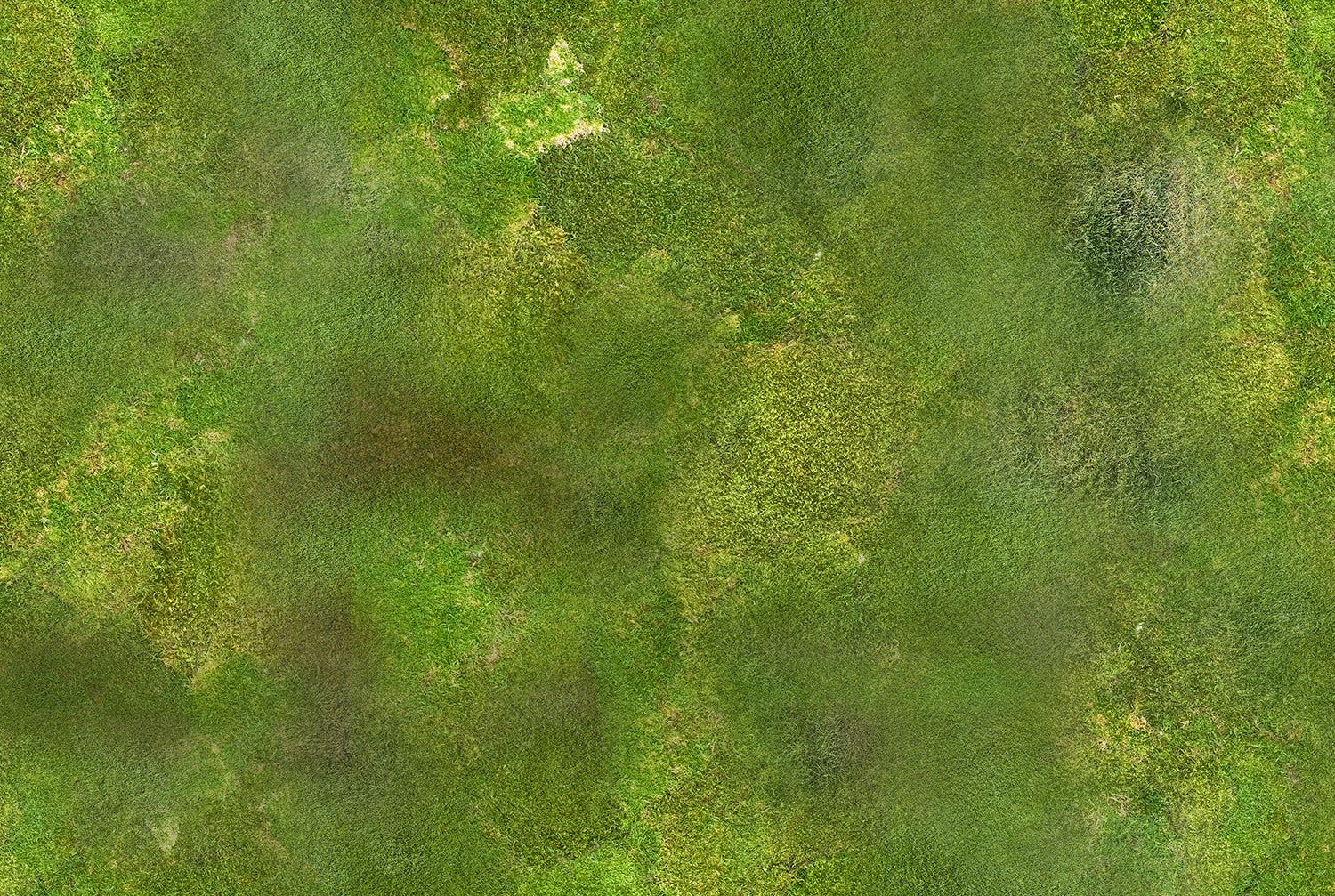 Grassy Terrain - XL Wargame Mat 36" x 72"